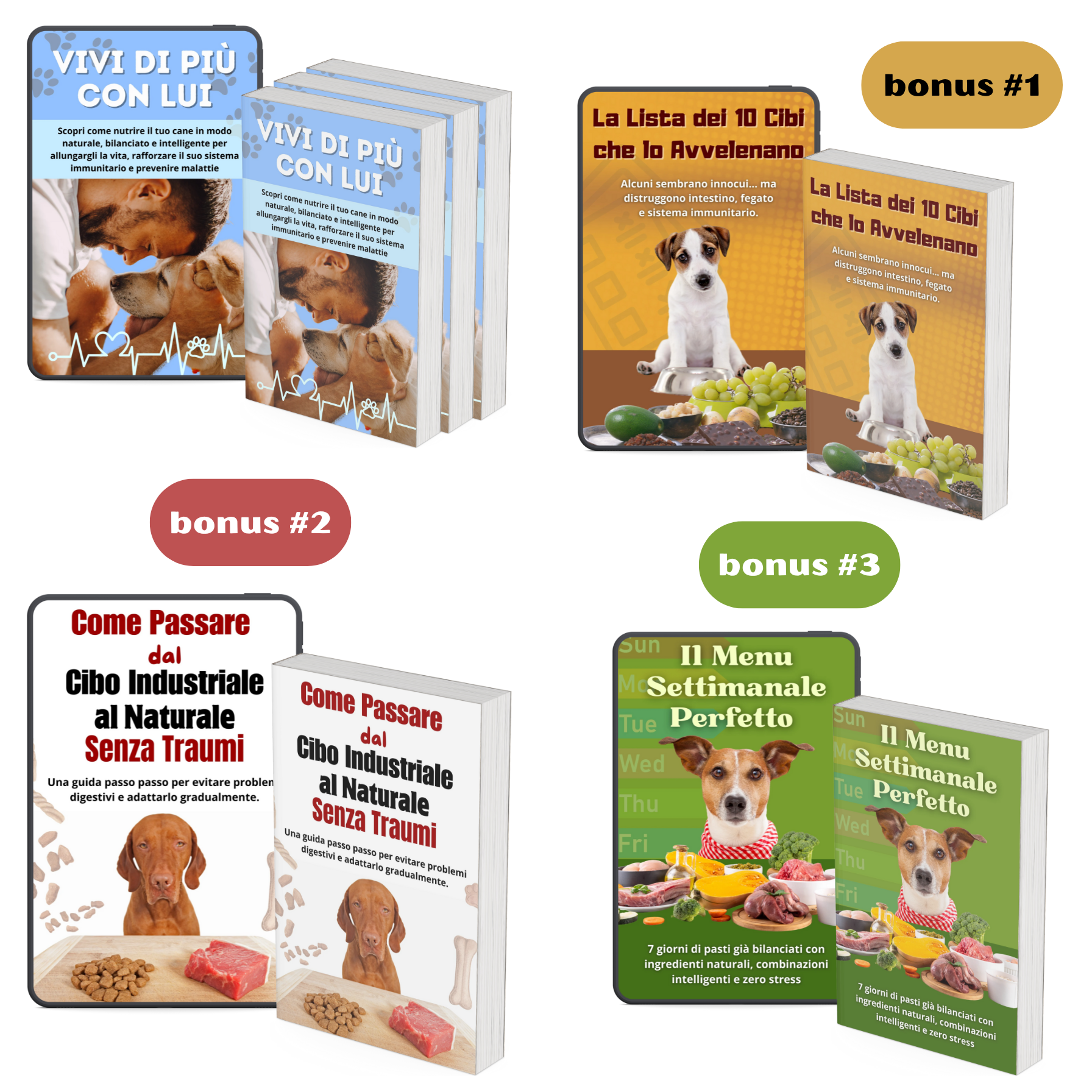 Vivi di Più con Lui