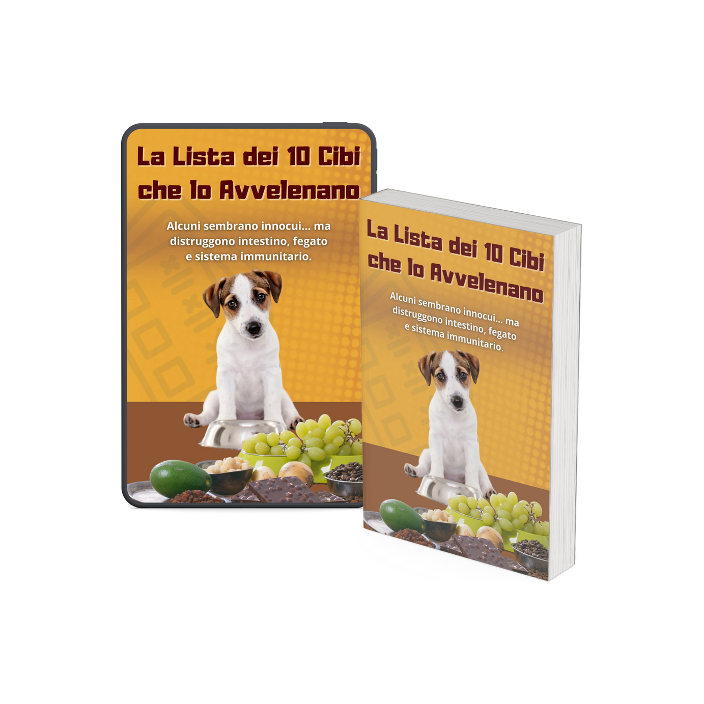 Vivi di Più con Lui