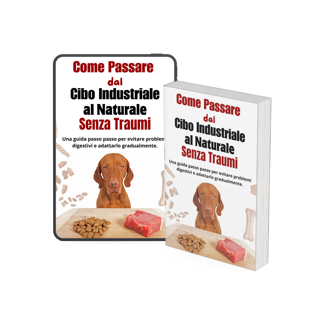 Vivi di Più con Lui