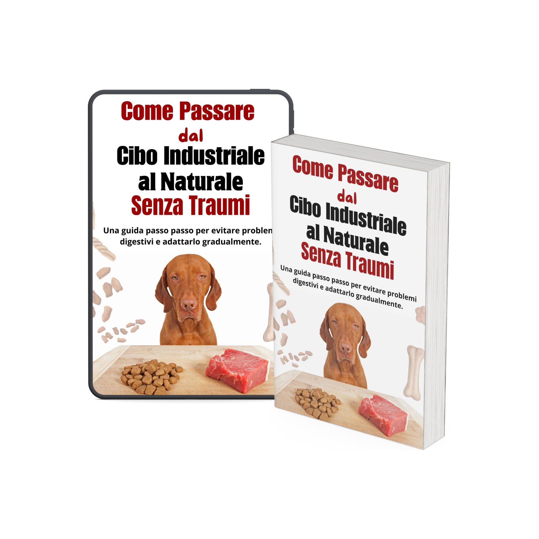 Vivi di Più con Lui